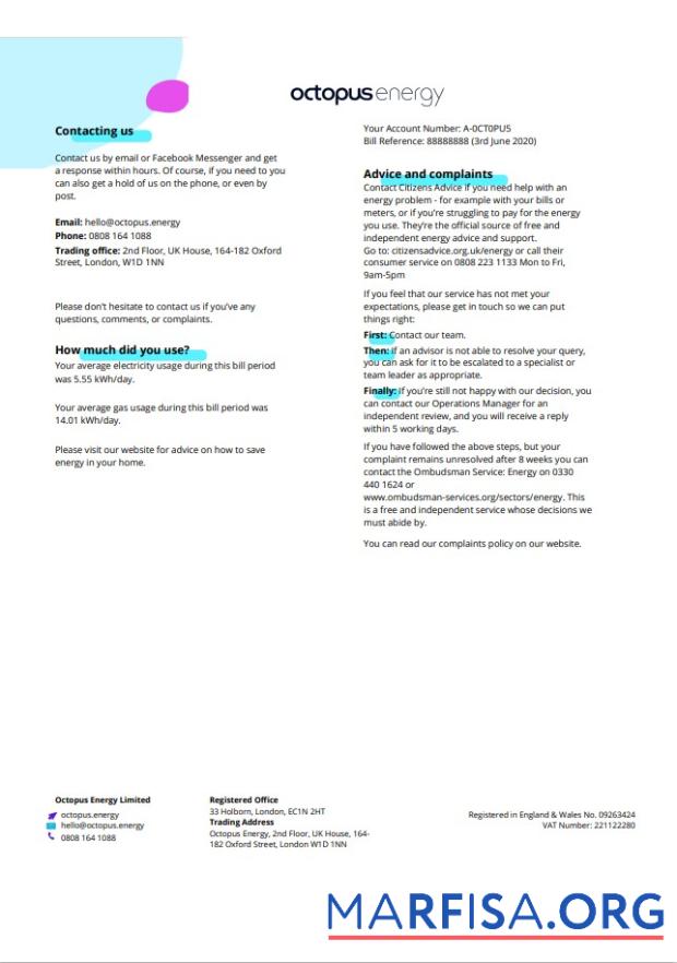 Downloadable United Kingdom Octopus Energy utility bill template in Word and PDF format, 3 pages 3